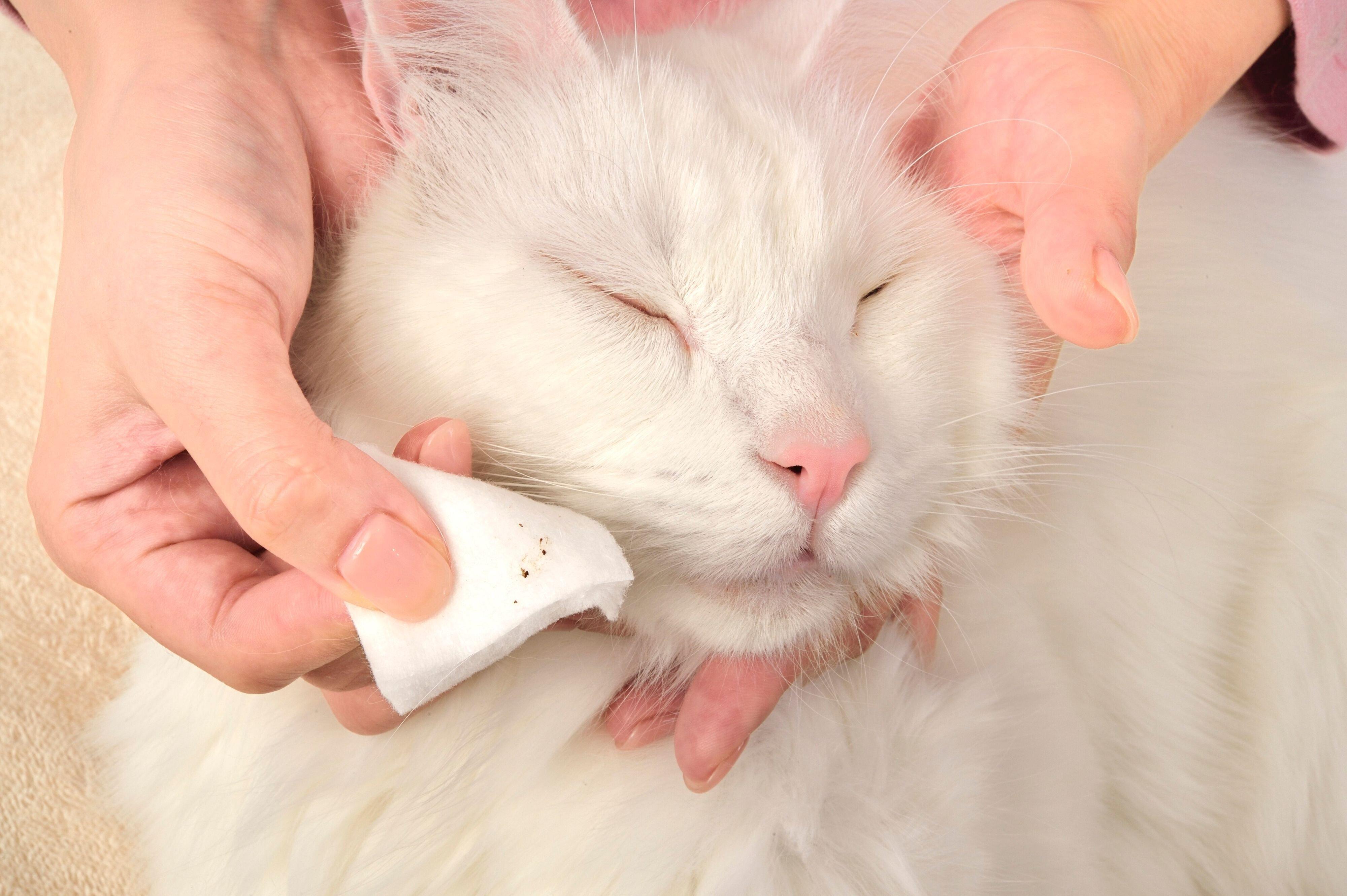 撮影／佐藤正之