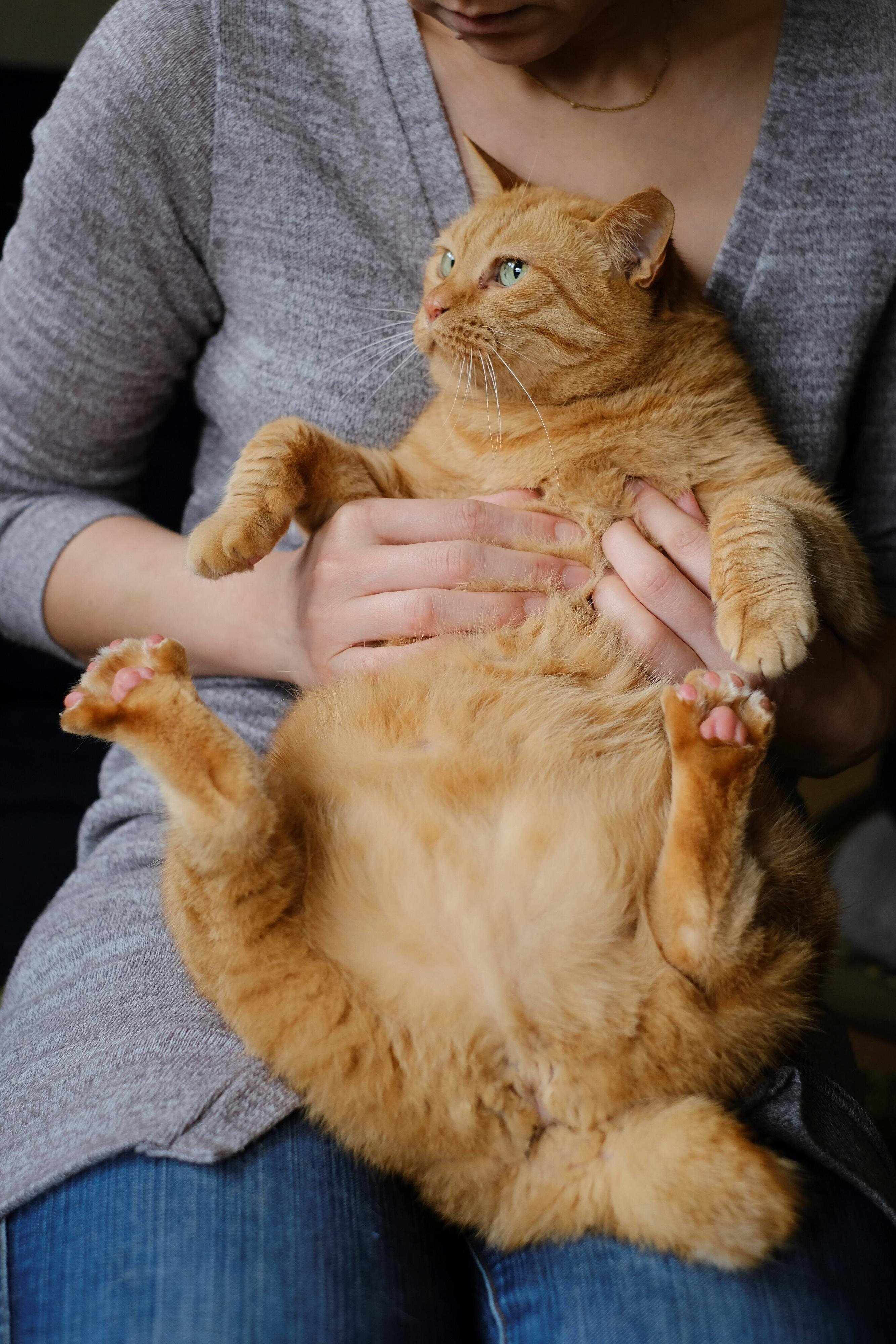 撮影／Akimasa Harada