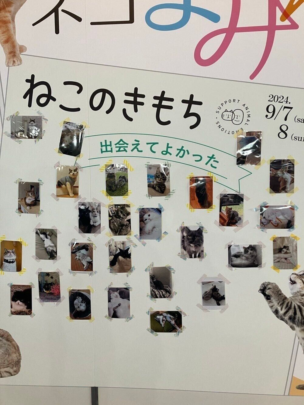 出会えてよかった