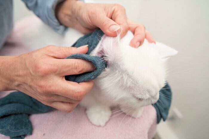 中が汚れていた場合