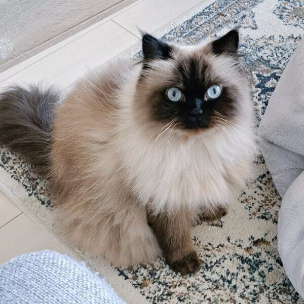 カメラ目線のハルくん。