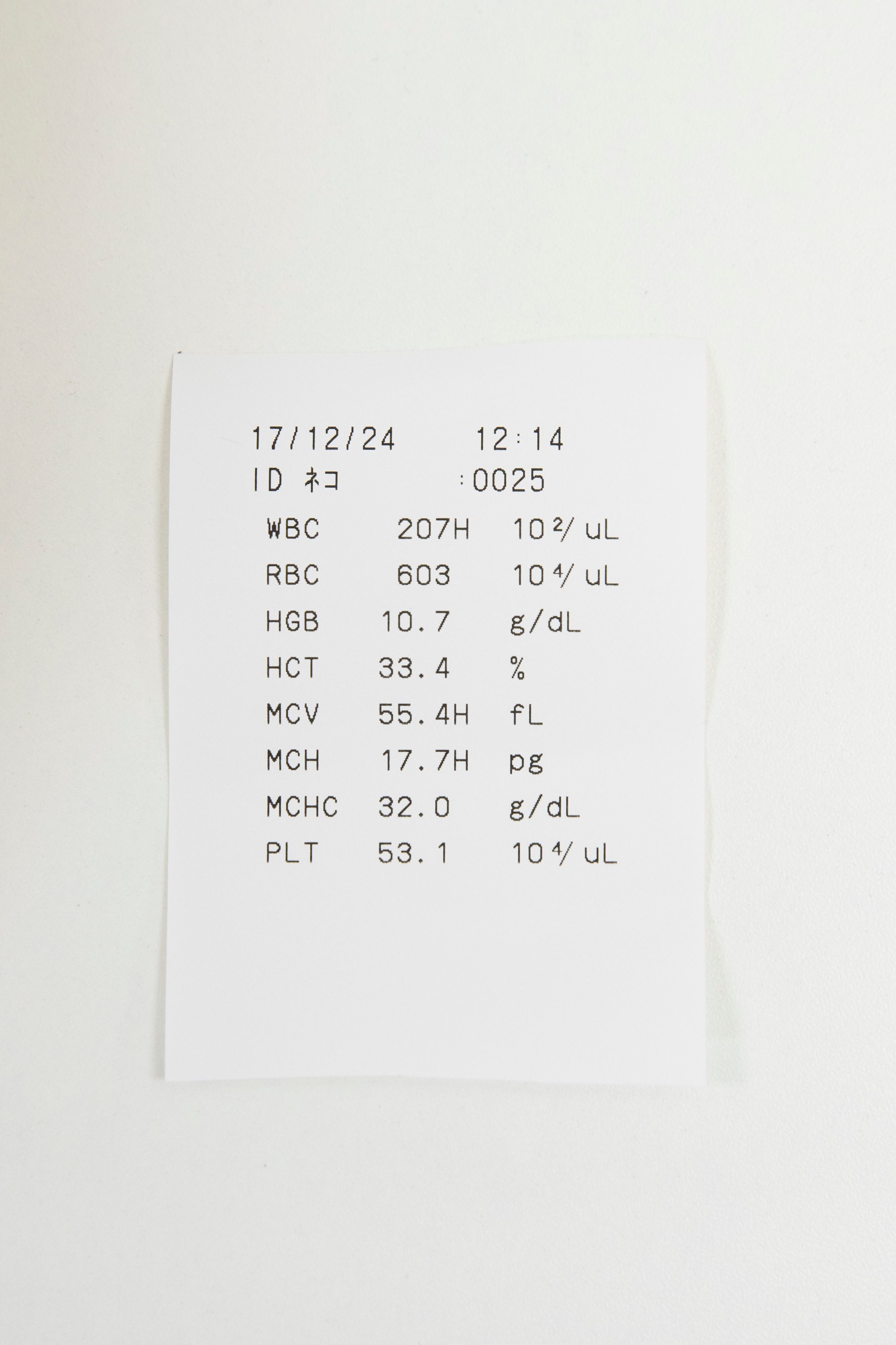 画像／2018年４月号「どうして必要？　結果の見方は？　血液検査がわかる！」