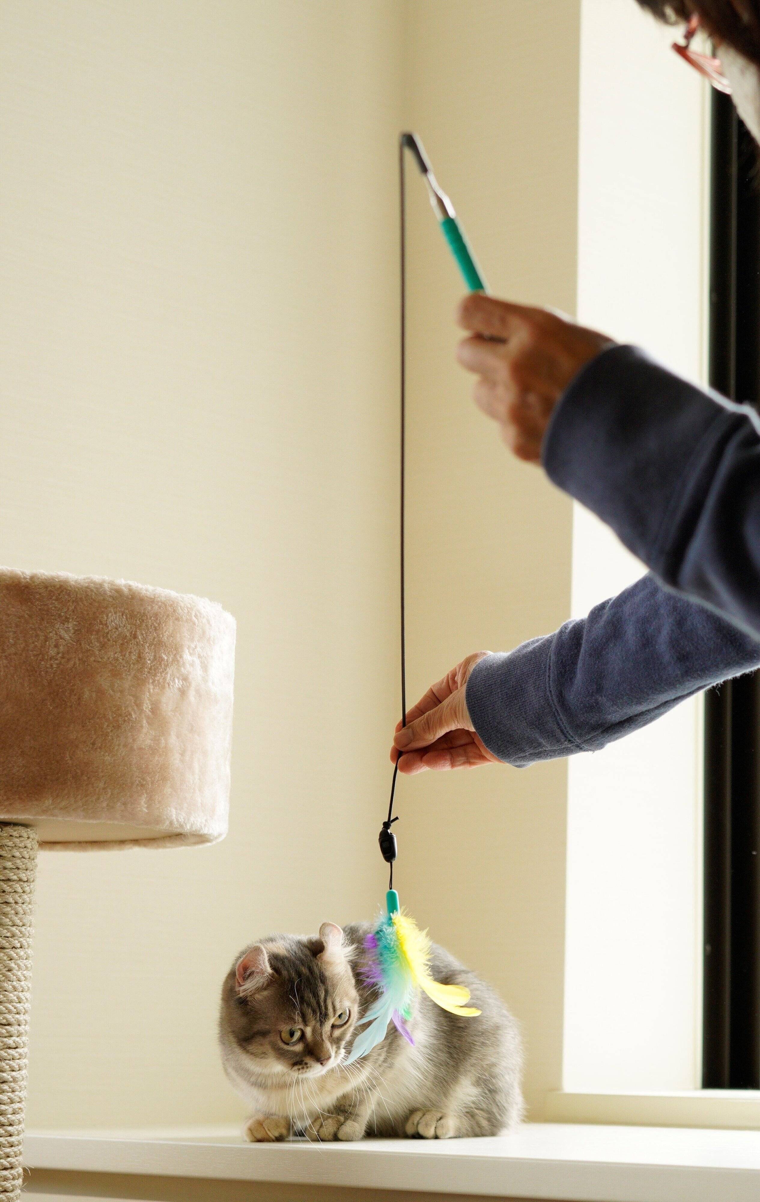 撮影／石原さくら