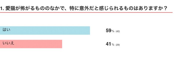 愛猫がこわがる意外なものはある?