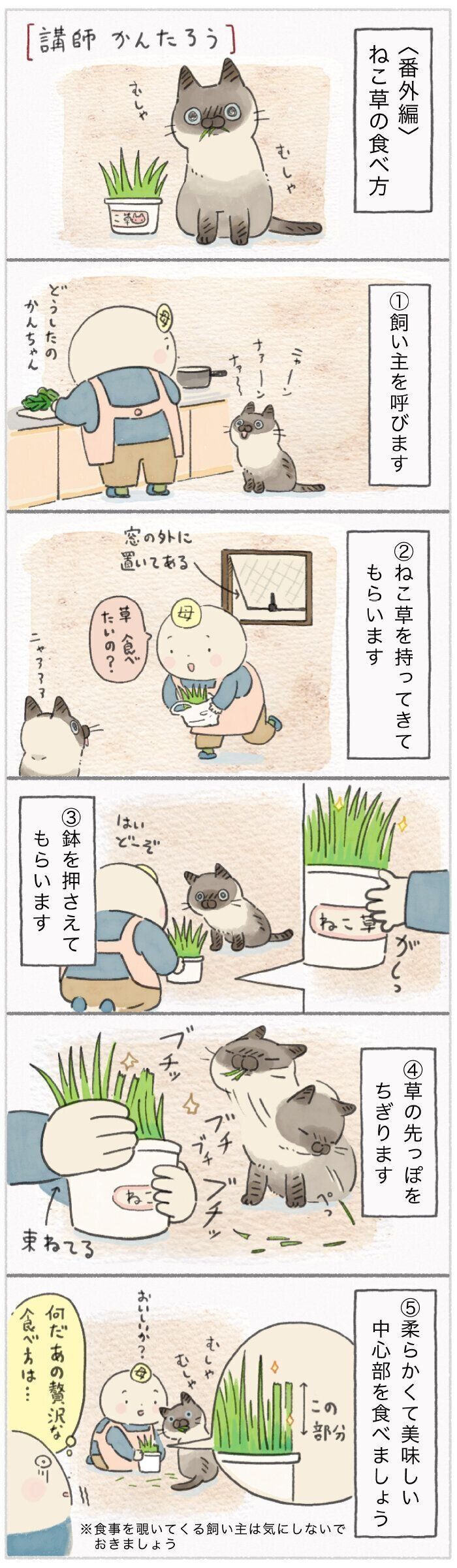 「ねこ連れ草」223話め