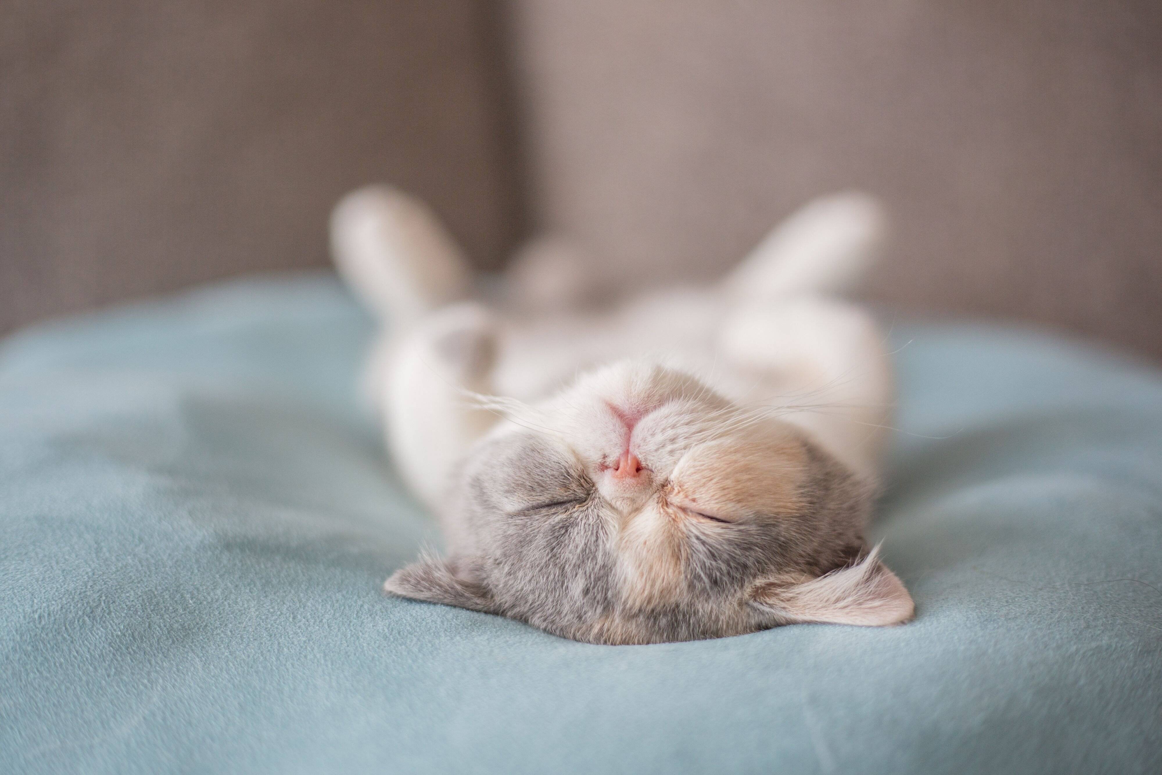 撮影／長谷川里美