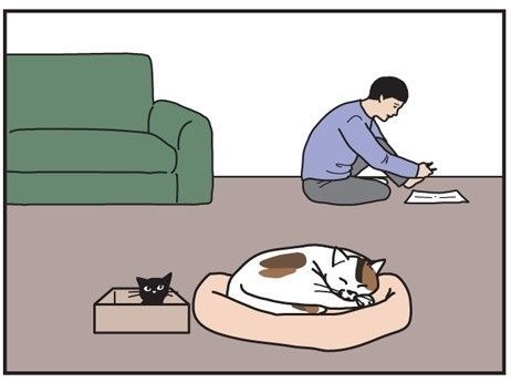 男の猫道 サムネイル