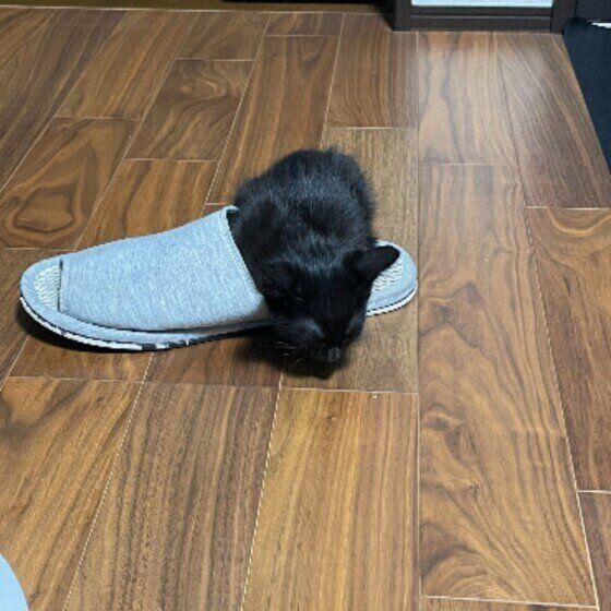 MIX黒のそらくん