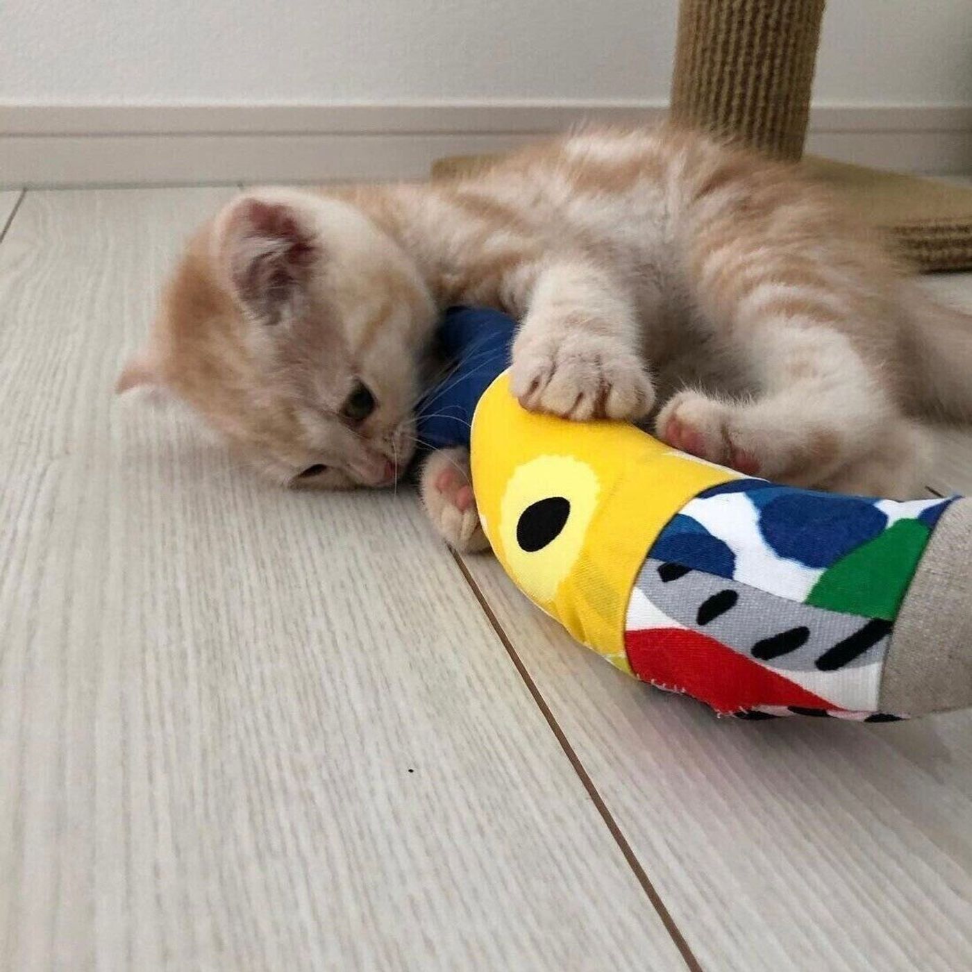 マネしたい可愛さ はぎれを使った猫の手作りおもちゃ ねこのきもちweb Magazine マネしたい可愛さ はぎれを使った猫の手作りおもちゃ ねこのきもちweb Magazine