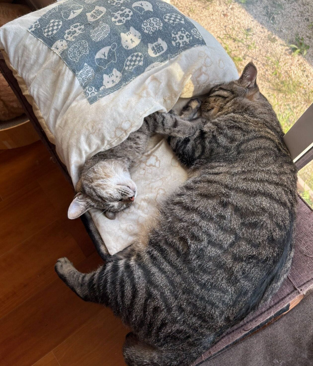 気持ちよさそうに眠るふうかちゃん、つむぎくん