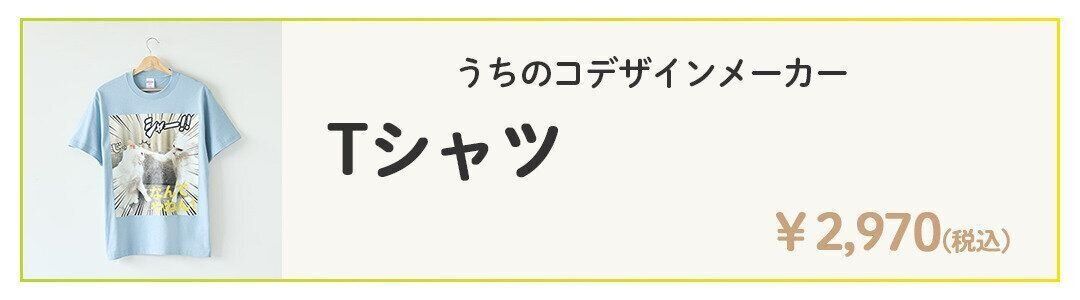 Tシャツの詳細を見る