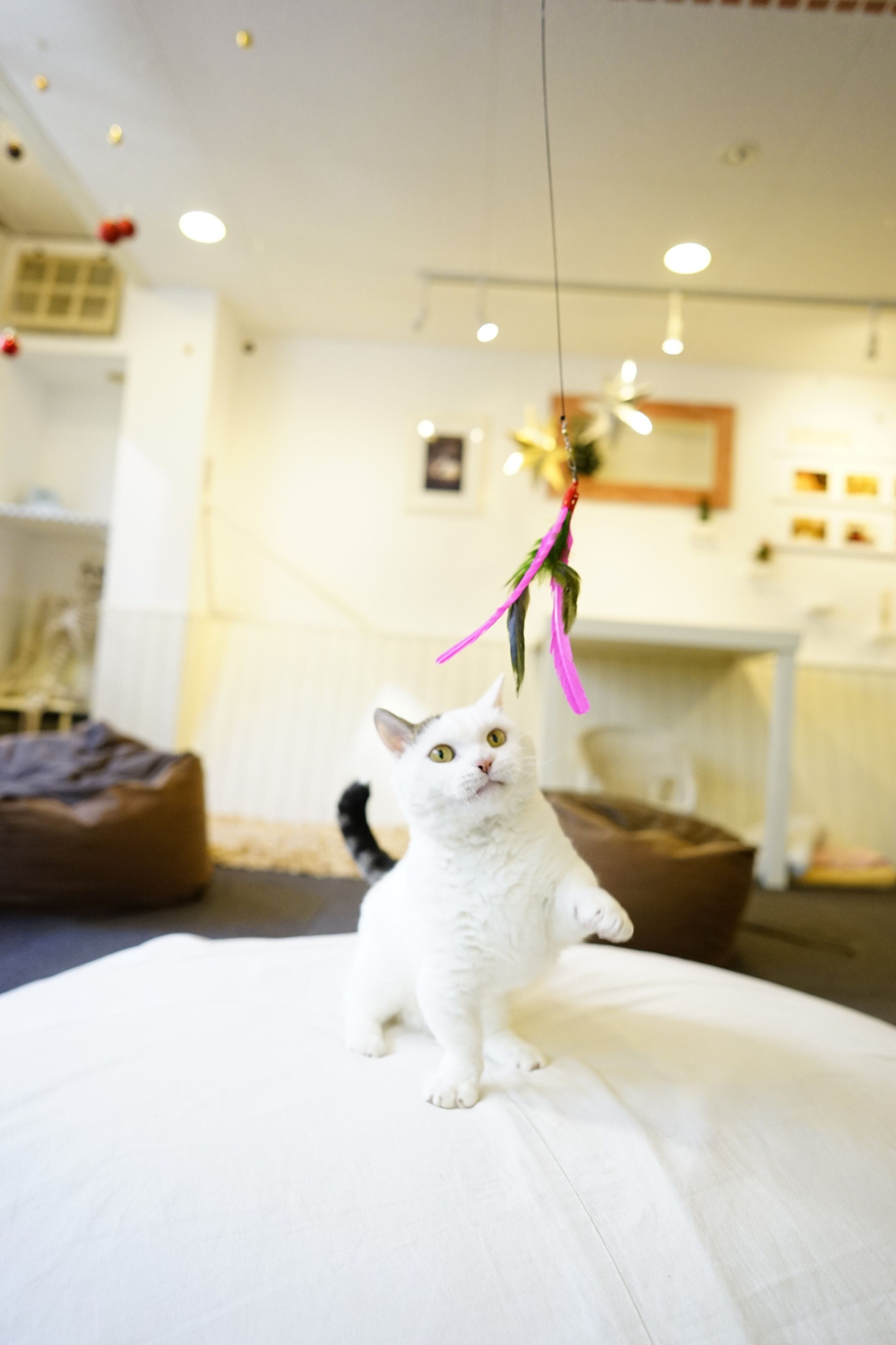 撮影／石原さくら