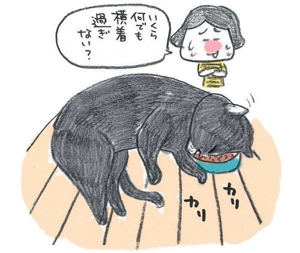 横着な猫＠えのきのこ