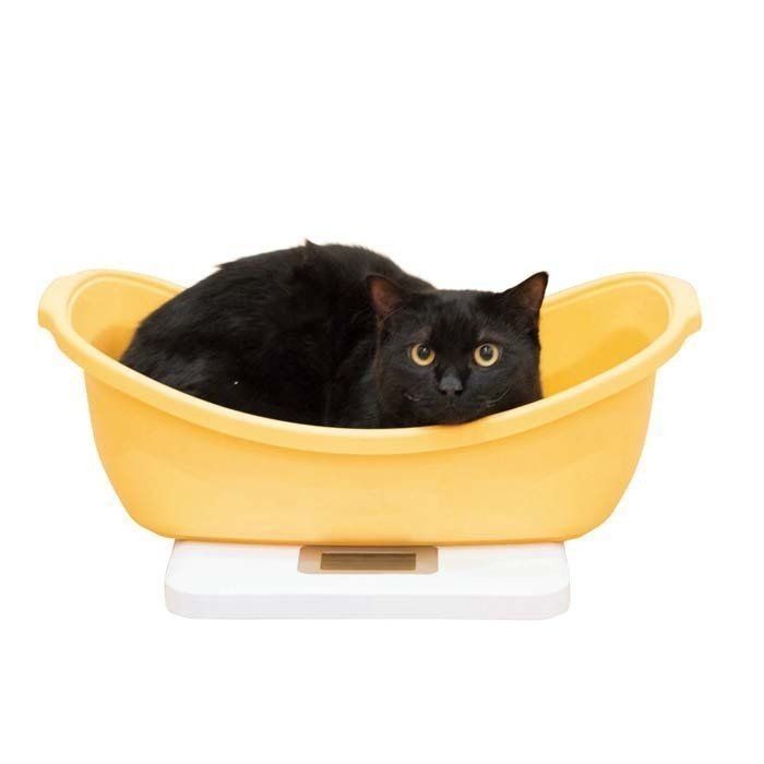 撮影／中川文作