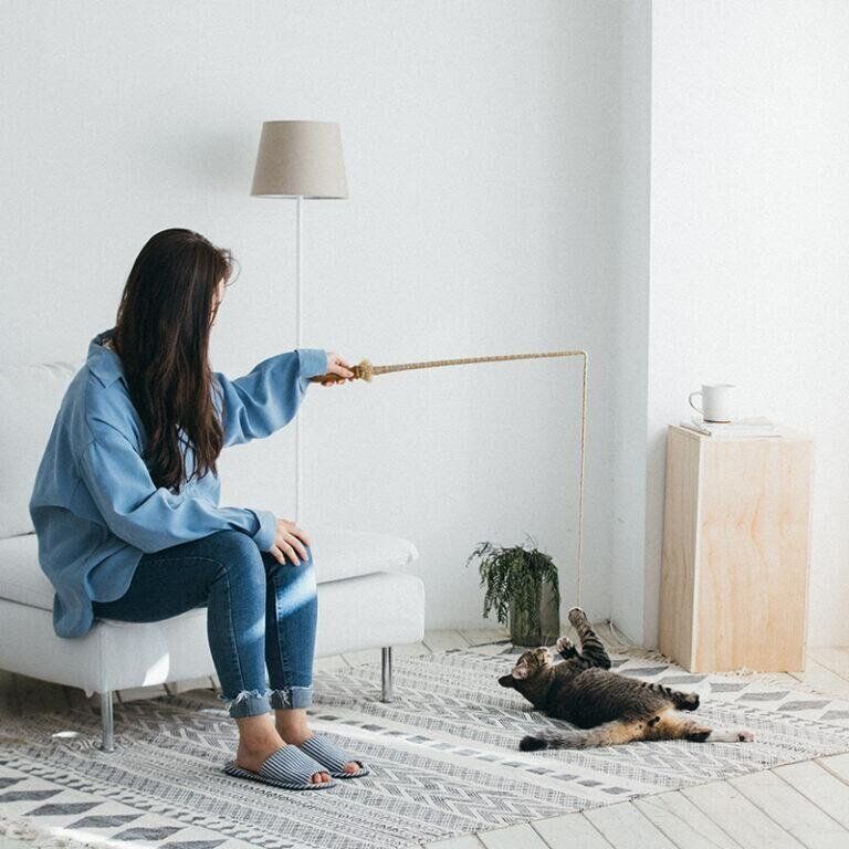 シンシアジャパン作品