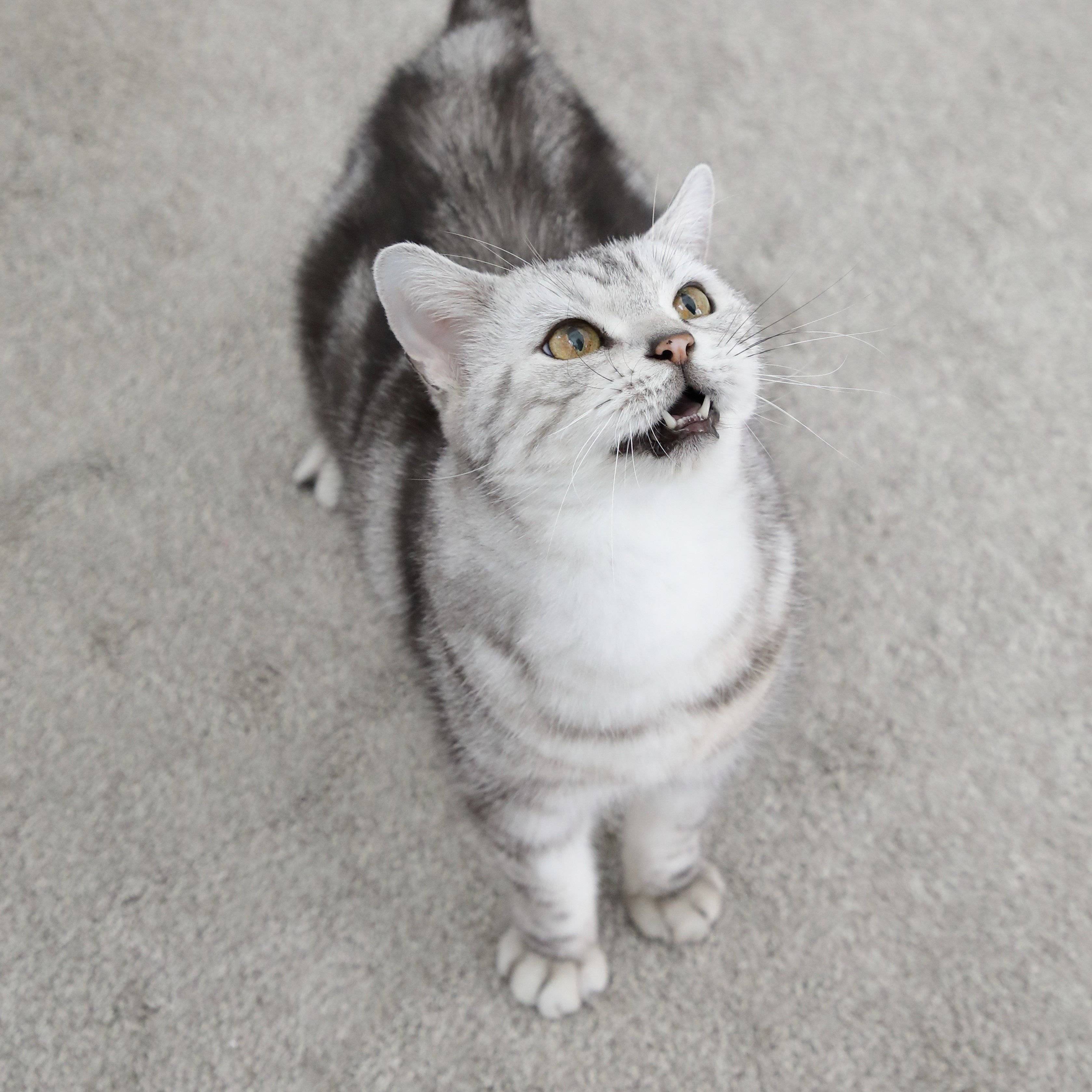 撮影／尾﨑たまき