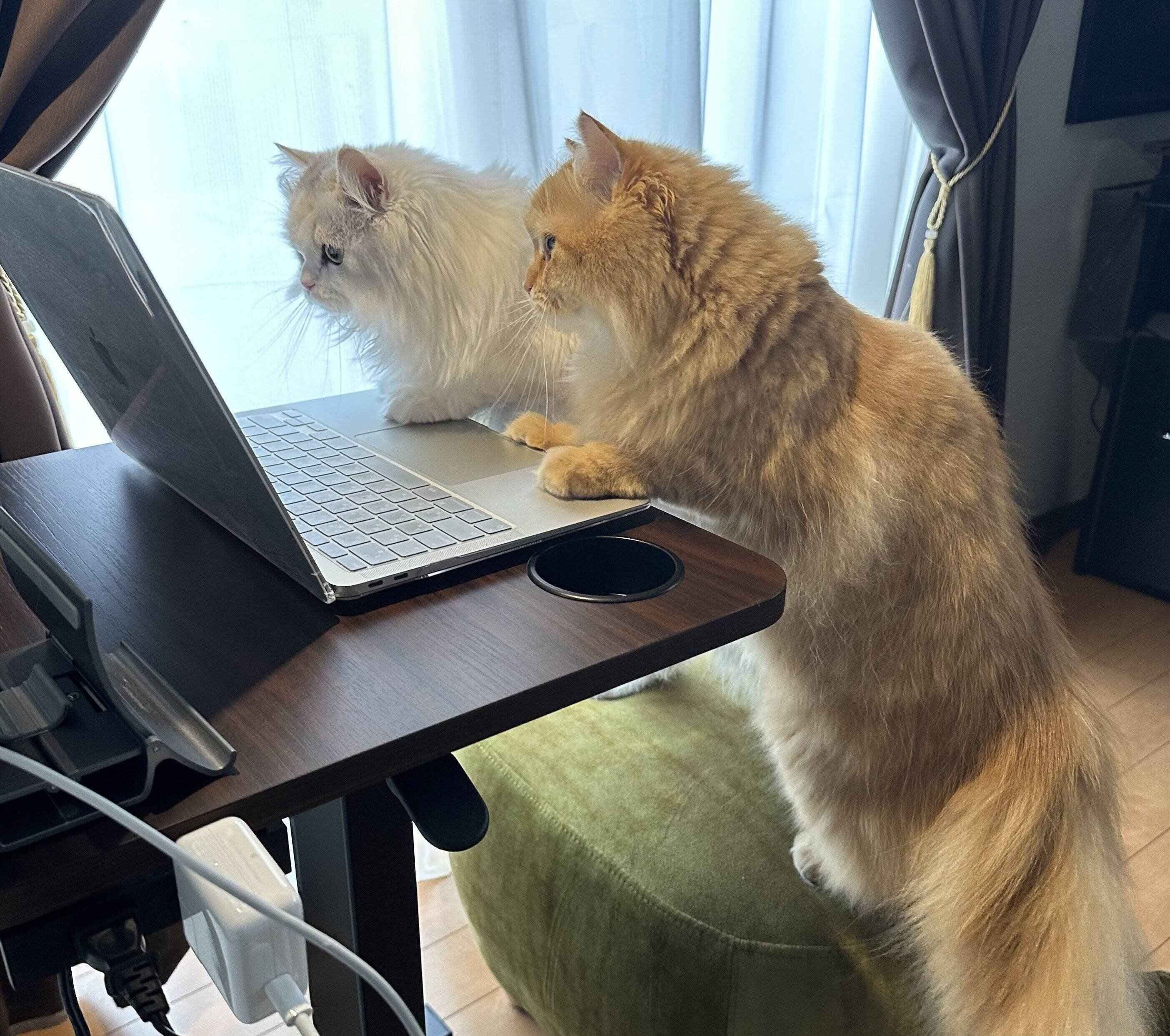 ノーマンくんとエマちゃん