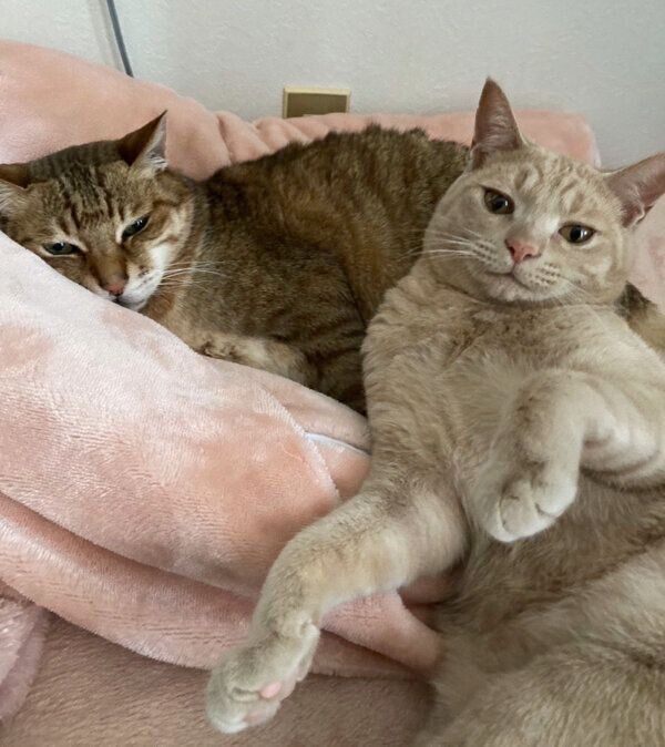 まったりする大吉くん、ダニエルくん