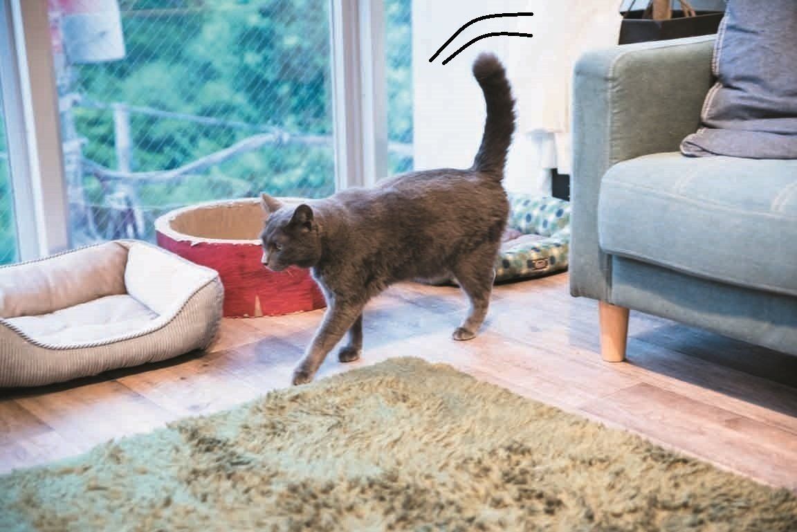 撮影／中川文作