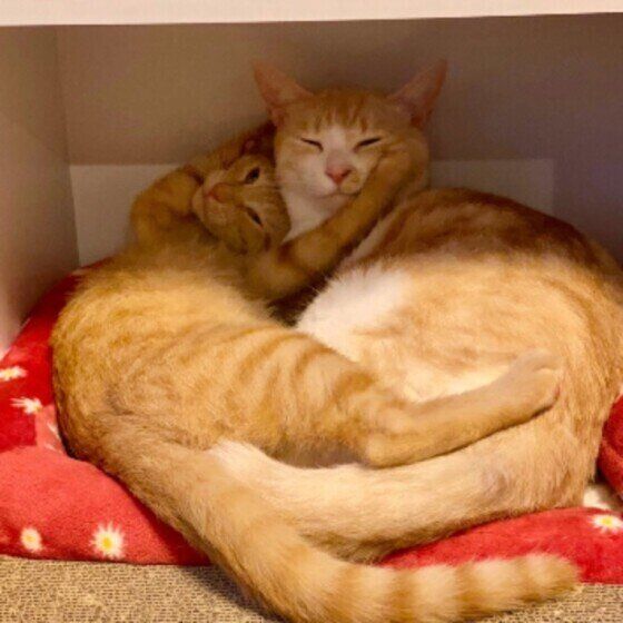 なかよく写真を撮るタマくん