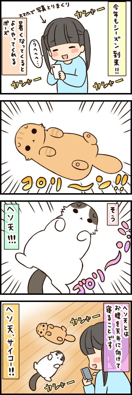 「もふもふスコたん」41話目