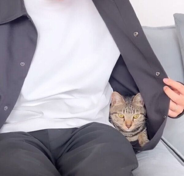 パパさんのシャツの中に入るイヴくん