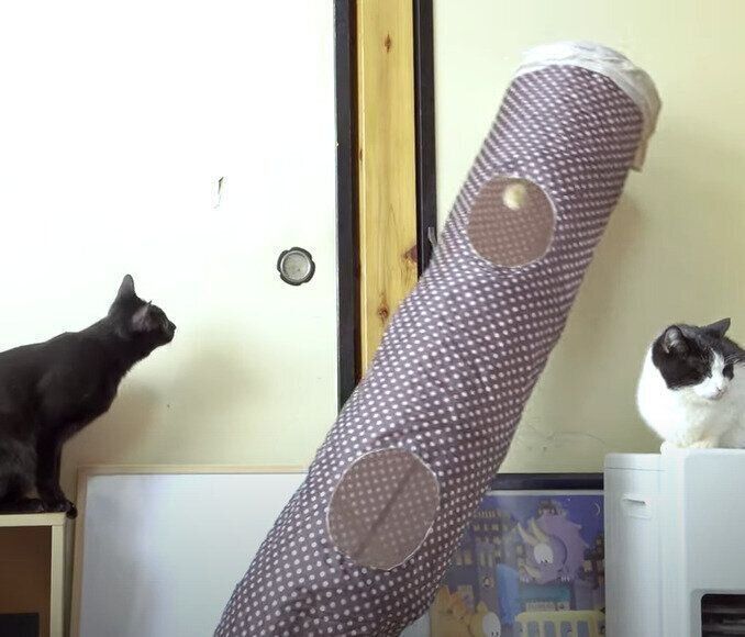 倒れるトンネルを見つめるくろみつくん