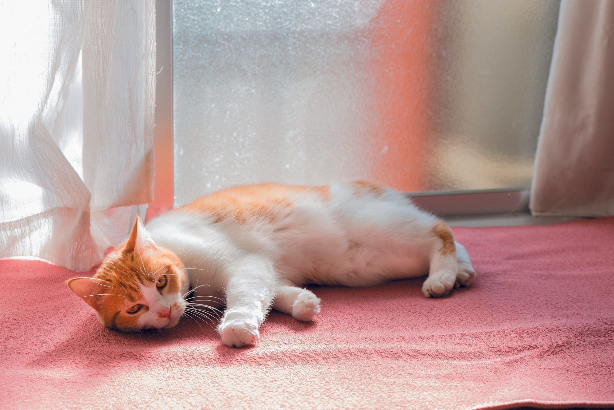 撮影／中川文作