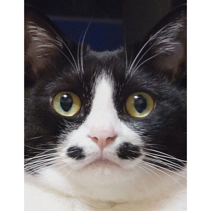 口元の“点々”が愛らしい絆那ちゃん