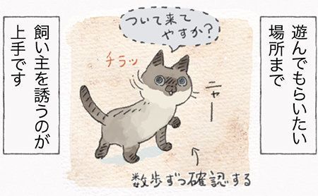 「ねこ連れ草」サムネイル