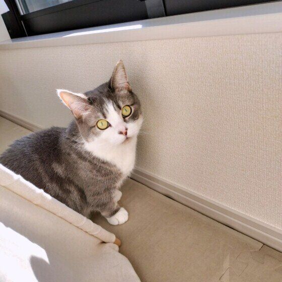 ゆきち  おはよう！ 朝からパトロールありがとう