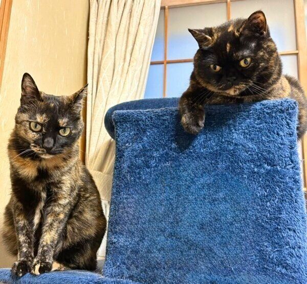 よもぎちゃんと仲良し2ショット