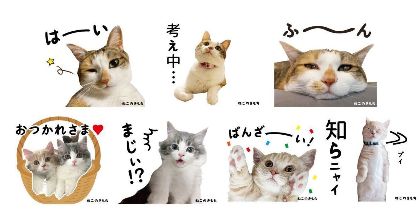 みんなでスタンプ あなたの愛猫がスタンプになれちゃうかも 公式アプリ投稿キャンペーン実施中 ねこのきもちweb Magazine みんなでスタンプ あなたの愛猫がスタンプになれちゃうかも 公式アプリ投稿キャンペーン実施中 ねこのきもちweb Magazine