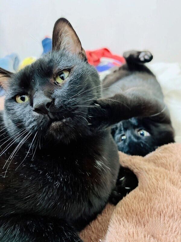 ほっこりするコンビの伊吹くんと匠くん