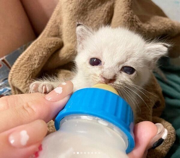 ミルクを飲む田中さん