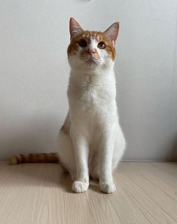 1才4カ月になったぱんくん