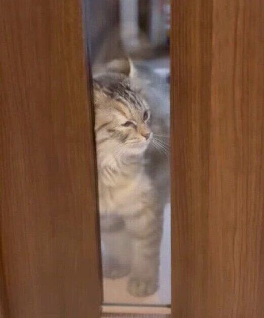 めげずに何度もチャレンジするくるみちゃん