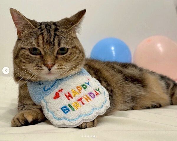 1才になったかぼすちゃん