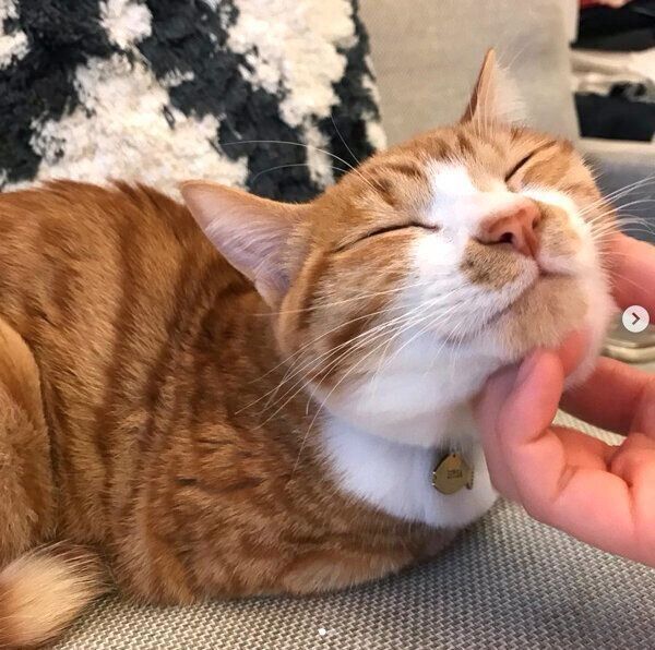 幸せそうな表情をするシンバさん