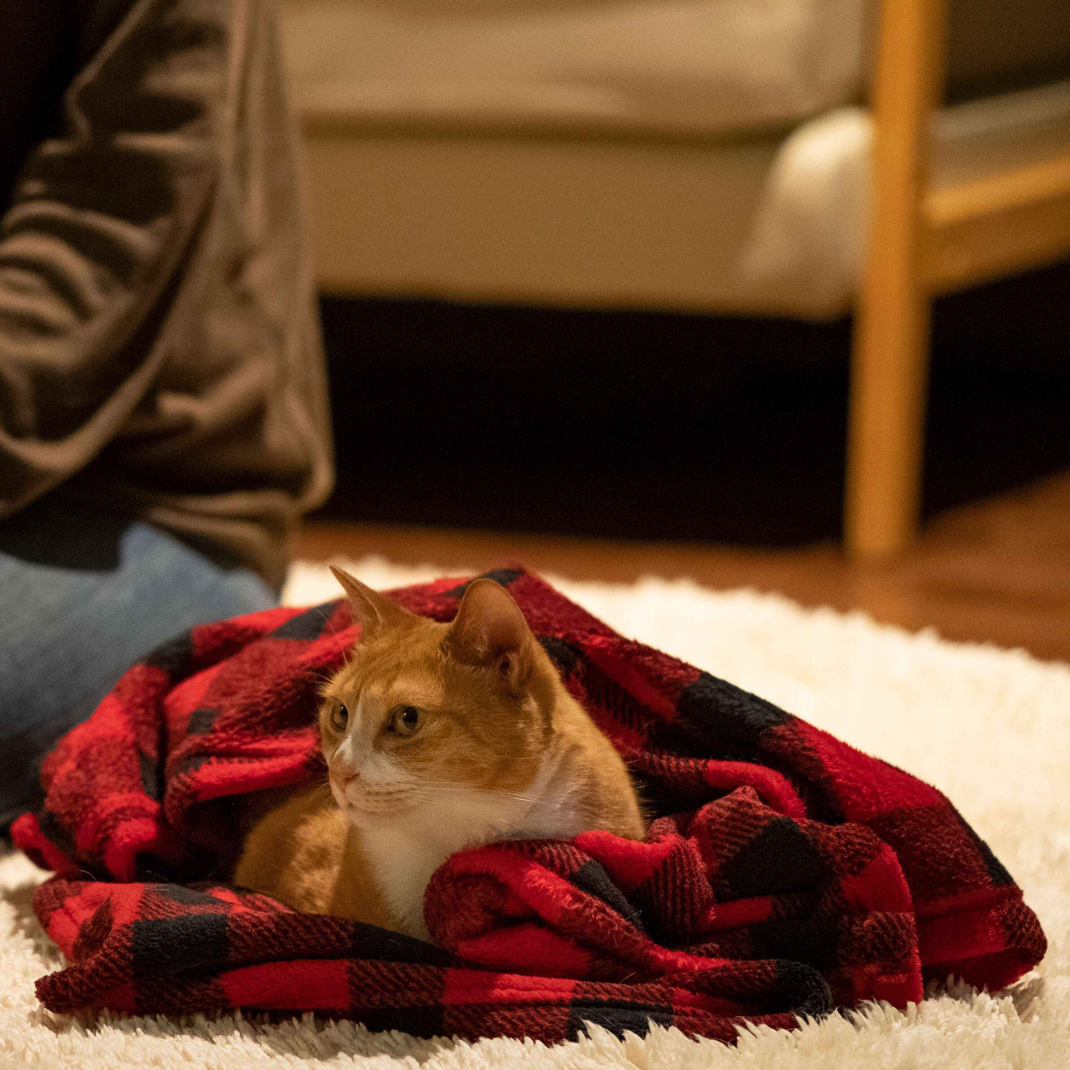 撮影／Akimasa Harada