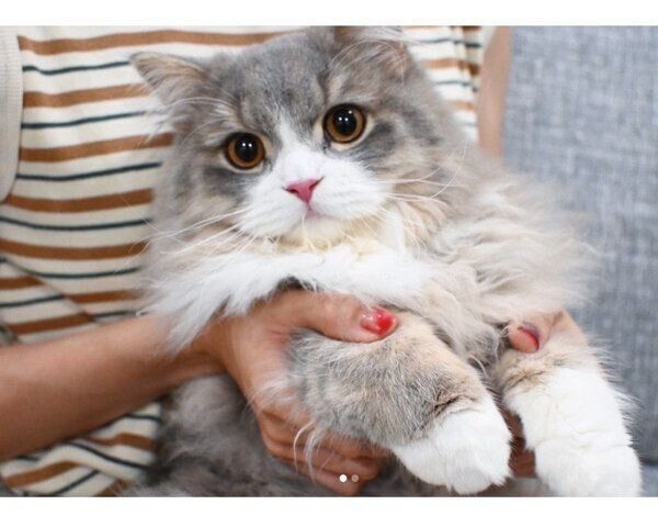 抱っこされる翠くん