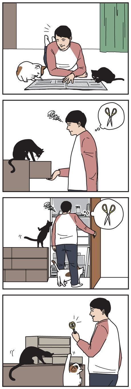 男の猫道