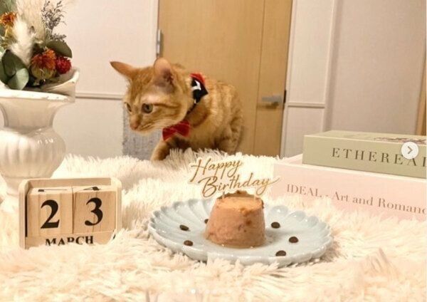 1才になったわさびちゃん