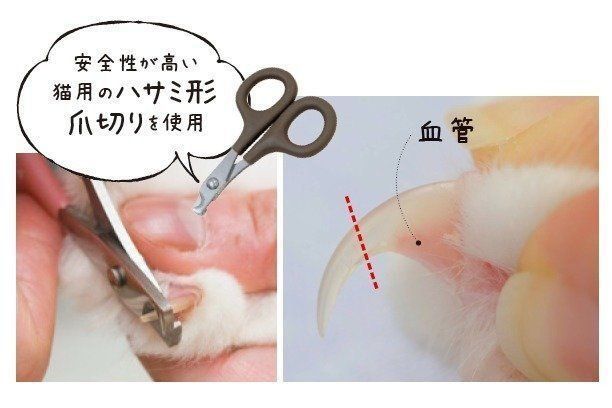 撮影／中川文作