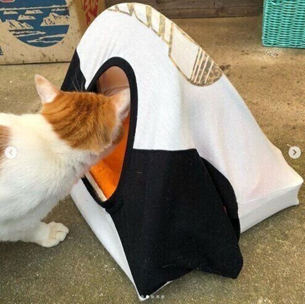 マネしてみたい 身近な素材を使った飼い主さんお手製の猫グッズ ねこのきもちweb Magazine マネしてみたい 身近な素材を使った飼い主さんお手製の猫グッズ ねこのきもちweb Magazine