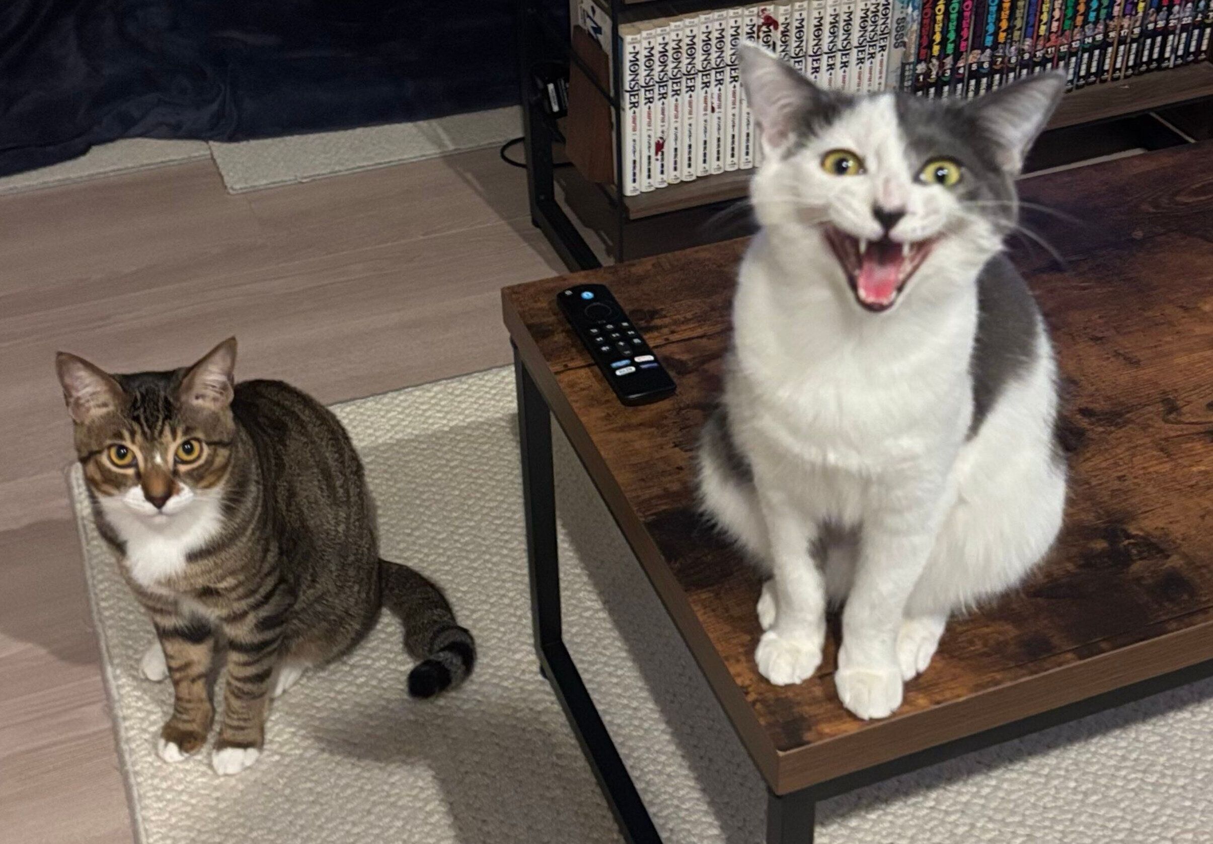 サイレントニャーをするガラシャちゃん