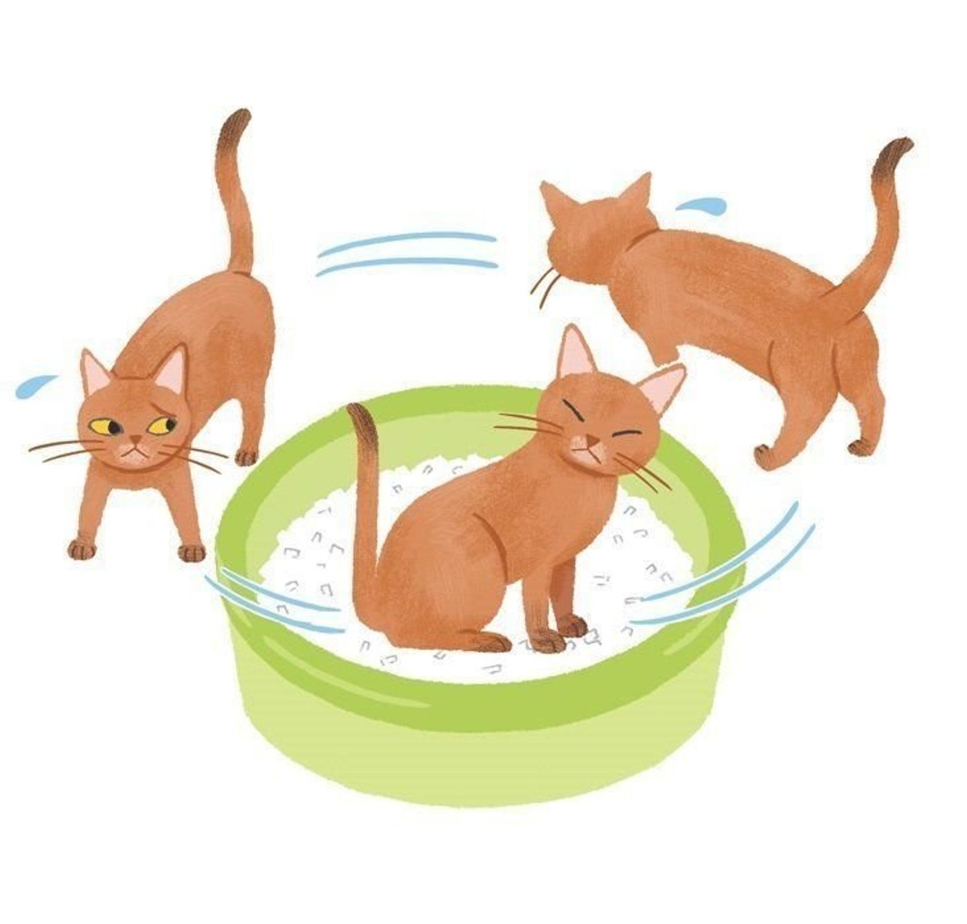 回数や量など異変が現れやすい猫のオシッコの病気 ねこのきもちweb Magazine 回数や量など異変が現れやすい猫のオシッコの病気 ねこのきもちweb Magazine