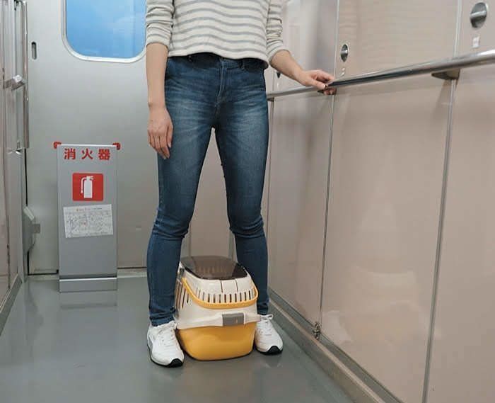 鳴きやまないときはデッキへ