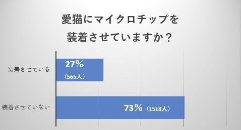 画像／ねこのきもち編集室