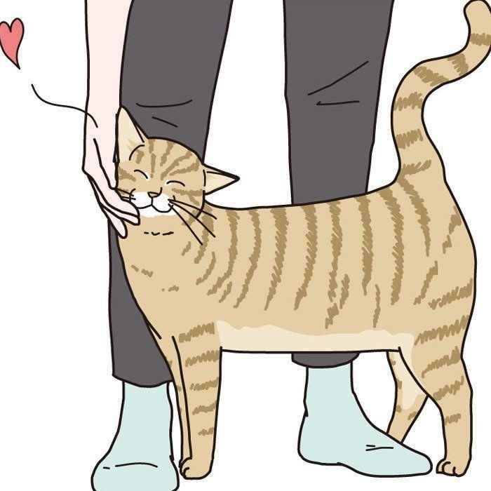 イラスト／二階堂ちはる